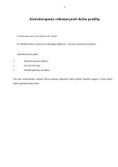 Darbo sauga kineziterapiauto darbo vietoje 5 puslapis