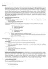 Hodegetika. Saviugda 2 puslapis