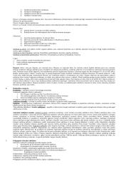 Hodegetika. Saviugda 3 puslapis