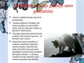 Socialiniai santykiai tarp gyvūnų 2 puslapis