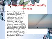 Socialiniai santykiai tarp gyvūnų 3 puslapis