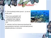 Socialiniai santykiai tarp gyvūnų 9 puslapis