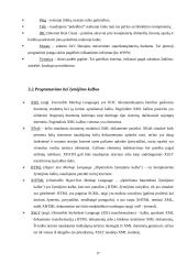 Internetas: istorija, paslaugos, technologijos 17 puslapis