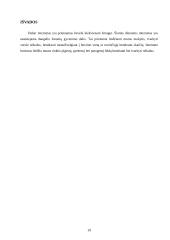 Internetas: istorija, paslaugos, technologijos 19 puslapis