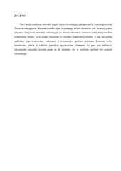 Internetas: istorija, paslaugos, technologijos 5 puslapis
