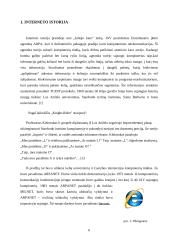 Internetas: istorija, paslaugos, technologijos 6 puslapis