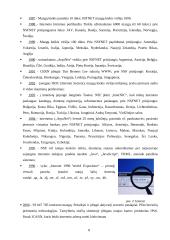 Internetas: istorija, paslaugos, technologijos 8 puslapis