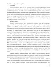 Ekonomikos augimo tendencijos 11 puslapis