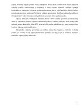 Ekonomikos augimo tendencijos 12 puslapis