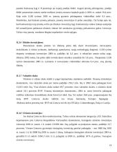 Ekonomikos augimo tendencijos 19 puslapis