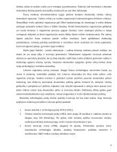 Ekonomikos augimo tendencijos 9 puslapis