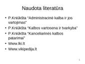 Kanceliarinis žargonas 16 puslapis