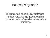 Kanceliarinis žargonas 4 puslapis
