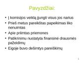 Kanceliarinis žargonas 8 puslapis