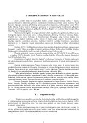 Degtinė ir kokteiliai degtinės pagrindu 3 puslapis