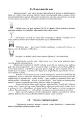 Degtinė ir kokteiliai degtinės pagrindu 6 puslapis