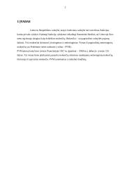 PVM įstatymas 2 puslapis