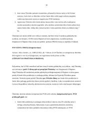 PVM įstatymas 20 puslapis