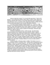 Antikinės filosofijos istorija 2 puslapis