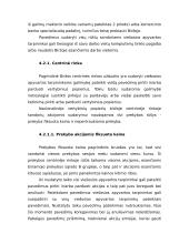 Vertybinių popierių principai 19 puslapis