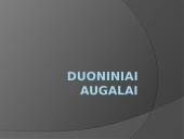 Duoniniai augalai