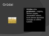 Duoniniai augalai 3 puslapis