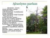 Lankomiausi Kauno objektai 20 puslapis