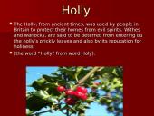 Christmas Decorations 12 puslapis