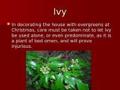 Christmas Decorations 13 puslapis