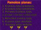 Kryžiaus žygiai. Pristatymas 2 puslapis