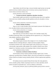 Baigiamosios praktikos ataskaita turizmo įmonėje 11 puslapis