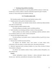 Baigiamosios praktikos ataskaita turizmo įmonėje 12 puslapis