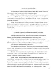 Baigiamosios praktikos ataskaita turizmo įmonėje 17 puslapis