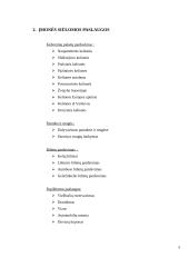 Baigiamosios praktikos ataskaita turizmo įmonėje 5 puslapis