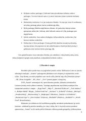 Baigiamosios praktikos ataskaita turizmo įmonėje 8 puslapis