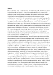 Savižudybės problema 2 puslapis