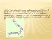 Šviesos energija 11 puslapis