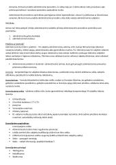 Administracinio proceso samprata 11 puslapis
