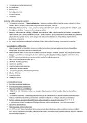 Administracinio proceso samprata 12 puslapis