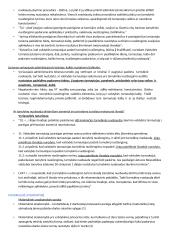 Administracinio proceso samprata 17 puslapis