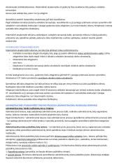 Administracinio proceso samprata 19 puslapis