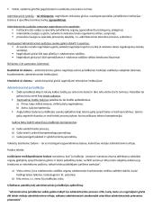 Administracinio proceso samprata 3 puslapis