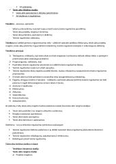 Administracinio proceso samprata 6 puslapis