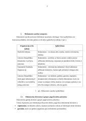 Dokumentų valdymo principai 2 puslapis