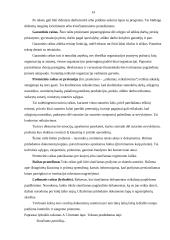 Dokumentų valdymo principai 13 puslapis