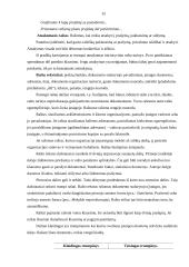 Dokumentų valdymo principai 14 puslapis