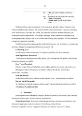 Dokumentų valdymo principai 15 puslapis