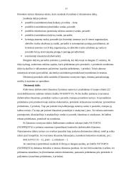 Dokumentų valdymo principai 16 puslapis