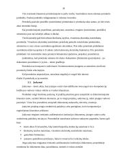 Dokumentų valdymo principai 17 puslapis