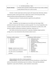 Dokumentų valdymo principai 10 puslapis